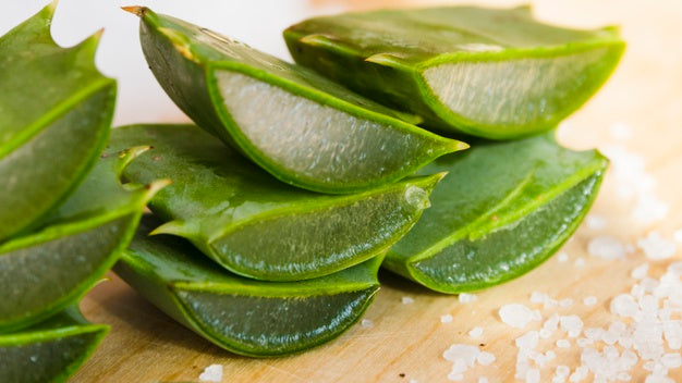 Aloe Vera - The True Grandma-favored Ingredient for Hydrating Skin and Hair