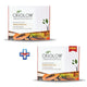 Papaya Facial Kit 260 Gm