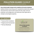 Pollution Guard Cleanup Facial Kit